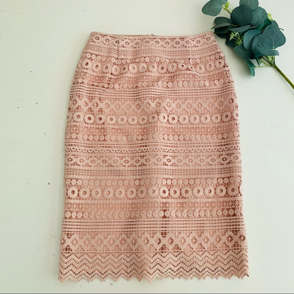 ANTONIO MELANI Blush Pink Lace Pencil Skirt